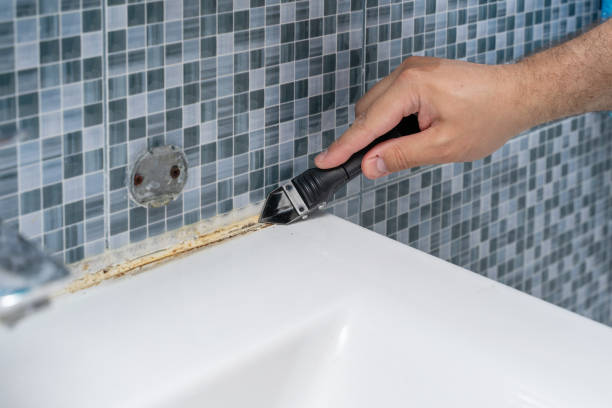 Best Commercial Mold Remediation in Troy, NC